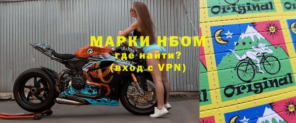 индика Алексин