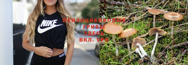 ALPHA-PVP Нефтегорск