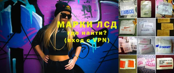 индика Алексин